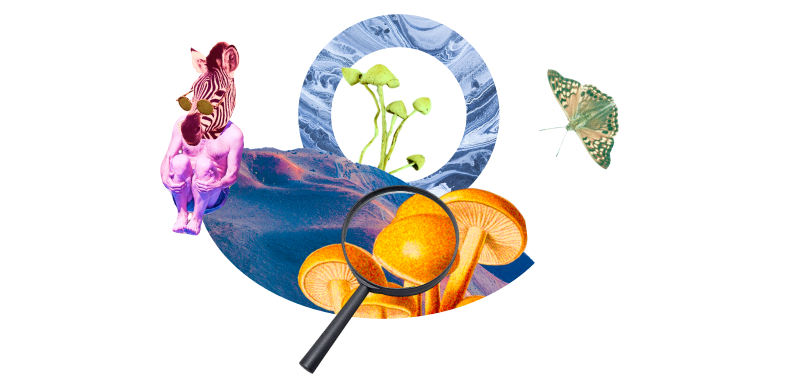 2022 10 Wealth Quality Insurance