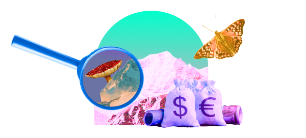 Accounting Cash Flow Management Cap Ex Analysis