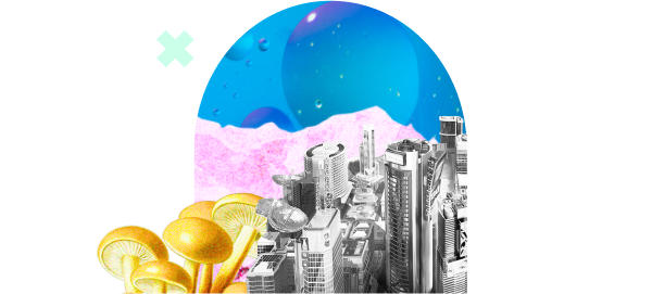 Accounting Cash Flow Management Working Capital Management