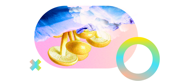 Accounting Cloud Accounting Analytics Cloud Integration