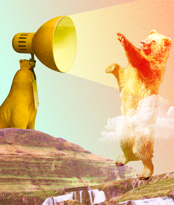 Are you ready to awaken your business from hibernation