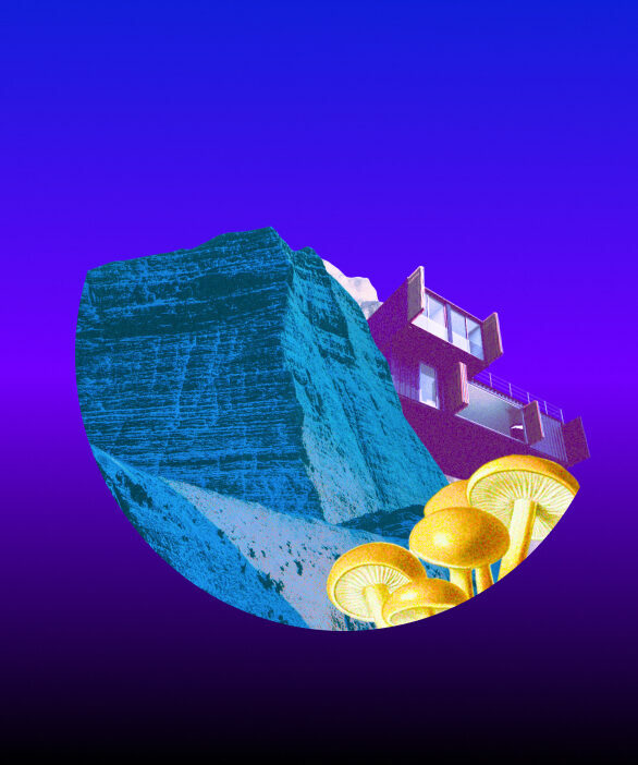 Article Image Wealth Property Finance