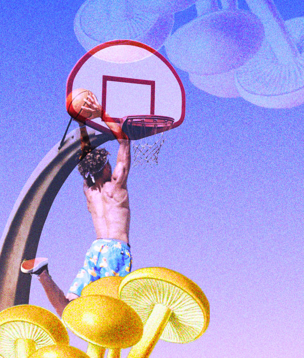 Back to Basics Everything You Need to Know About Self Managed Super Funds