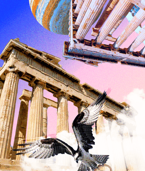 Benefits of a Testamentary Discretionary Trust