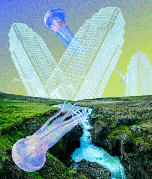 Better Professional Indemnity insurance for Australian building surveyors