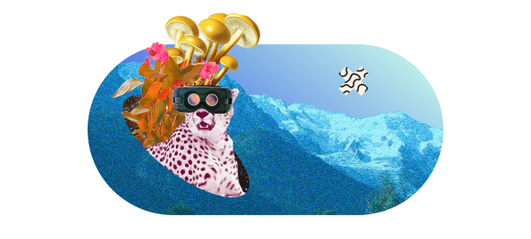 Business Loans Feature List