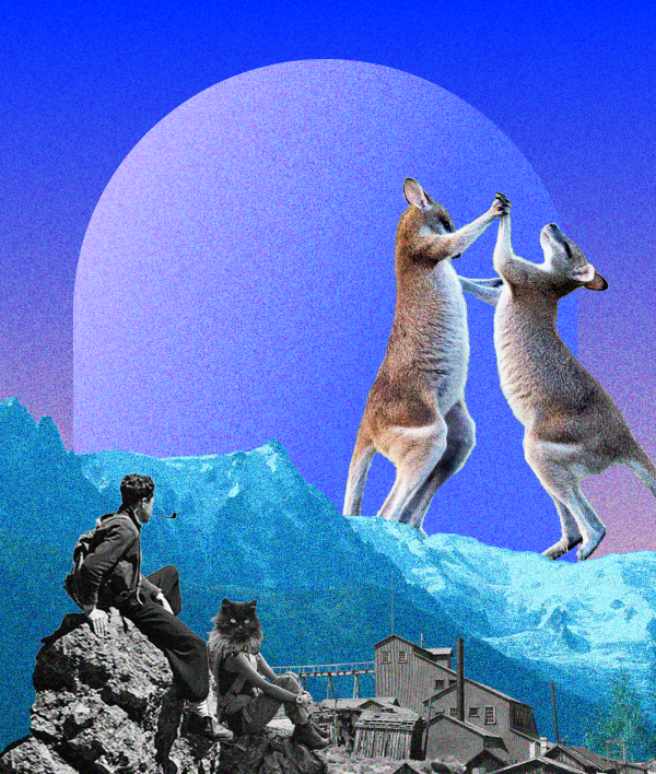 Contractor or Employee New Definitions Under the Closing Loopholes Legislation