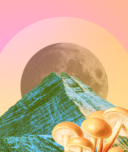 Creating a Charity Giving Strategy A Blueprint for Business Owners