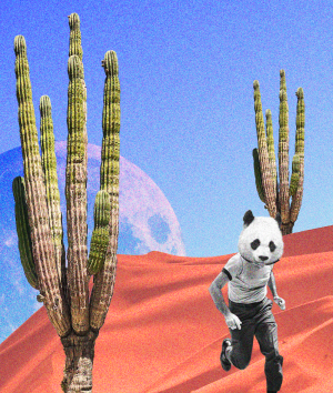 Exit Interviews Identifying Risks to Workplace Health and Safety