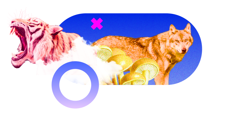 Feature List Strong portfolio returns with a proven track record