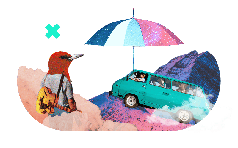 Festival Tour insurance