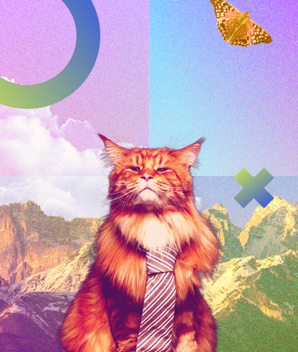 Fractional CFO The Founders Secret to Financial Mastery