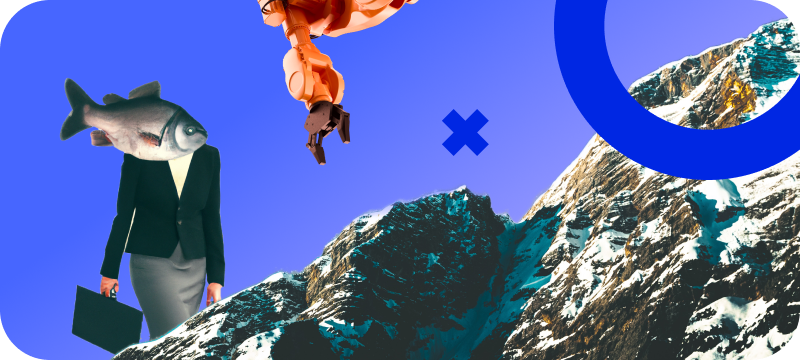 Fractional CTO Consulting