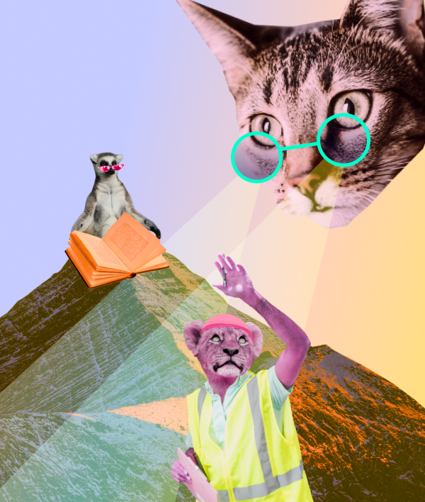 Frame 1