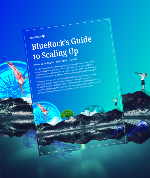 Guide to Scaling Up Website Graphic