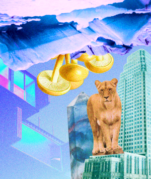 How to raise capital during a market downturn