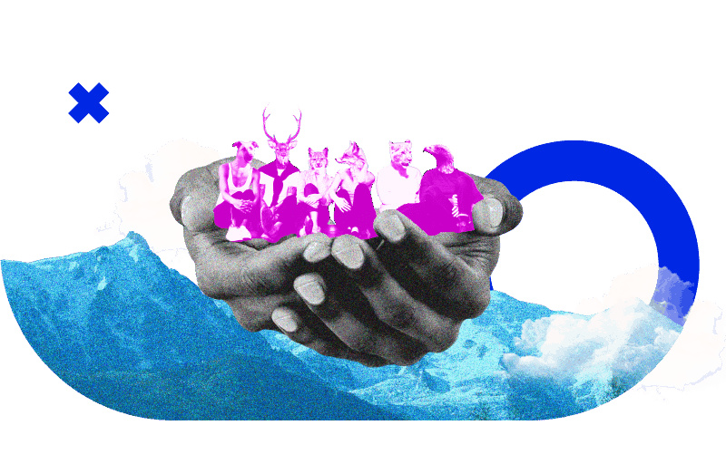 Inclusion