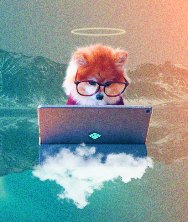 Technology Adoption and Innovation