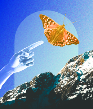 Not for Profits Qualifying as Self Assessing for Income Tax Exemption