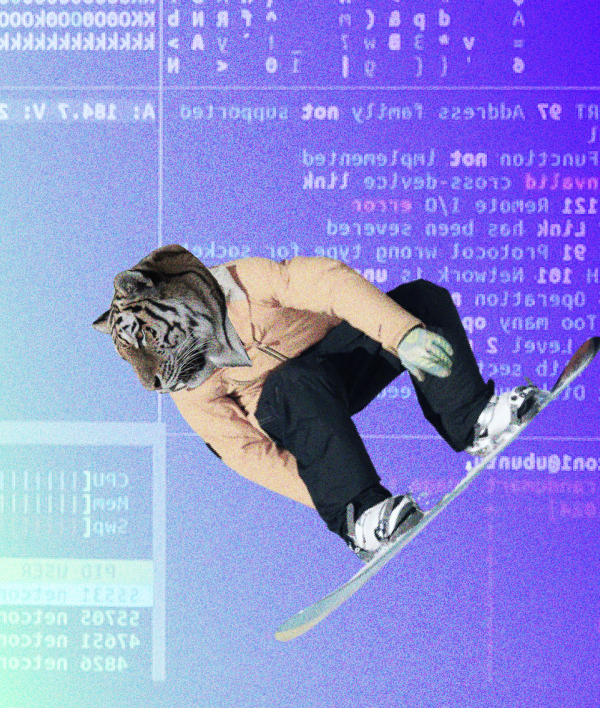 Preparing Your Director Identification Number Director ID