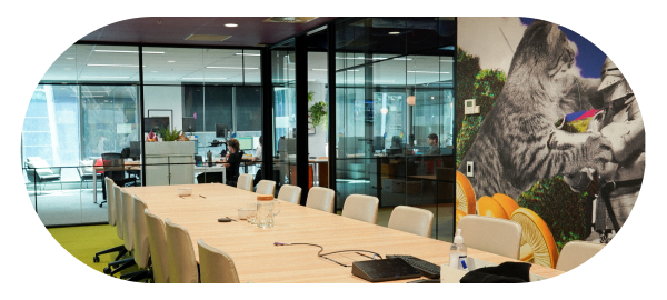 Professional Setting