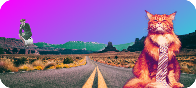 Project Management Software