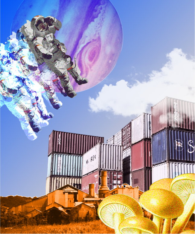 Received An Export Grant Heres What To Do With Your EMDG Funding