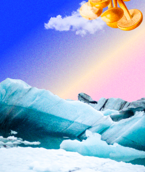 SME looking to expand Consider acquisition