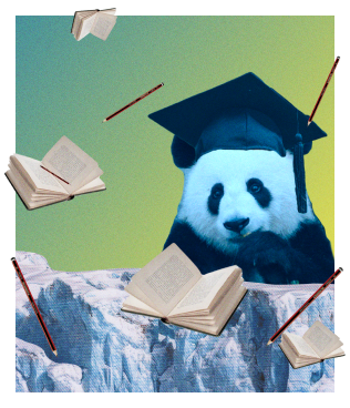 STUDY