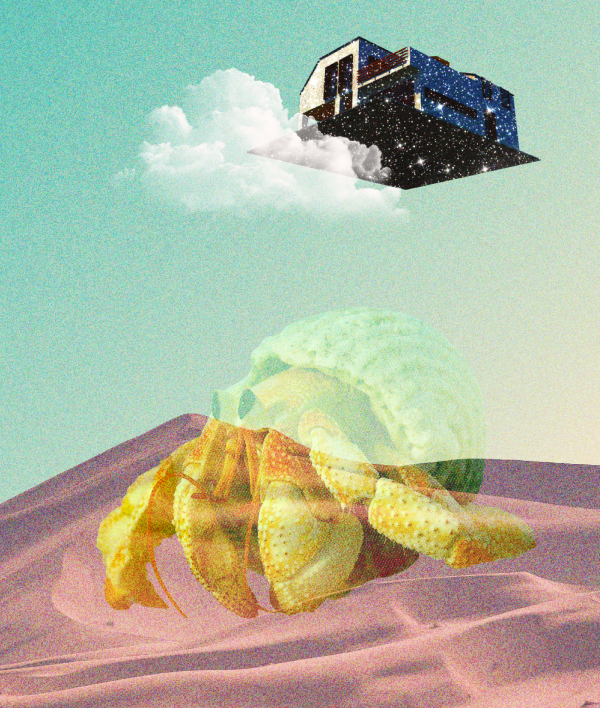 Support for Small Businesses Facing COVID Hardship