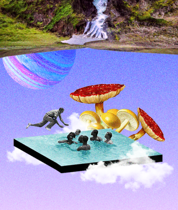 The Roll Out of the Next 5000 Tax Performance Program