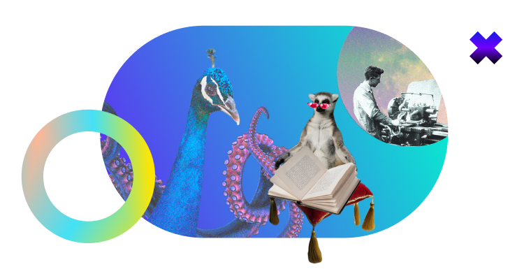 Top notch team of investment experts