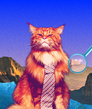 Unpacking the Director Penalty Notice