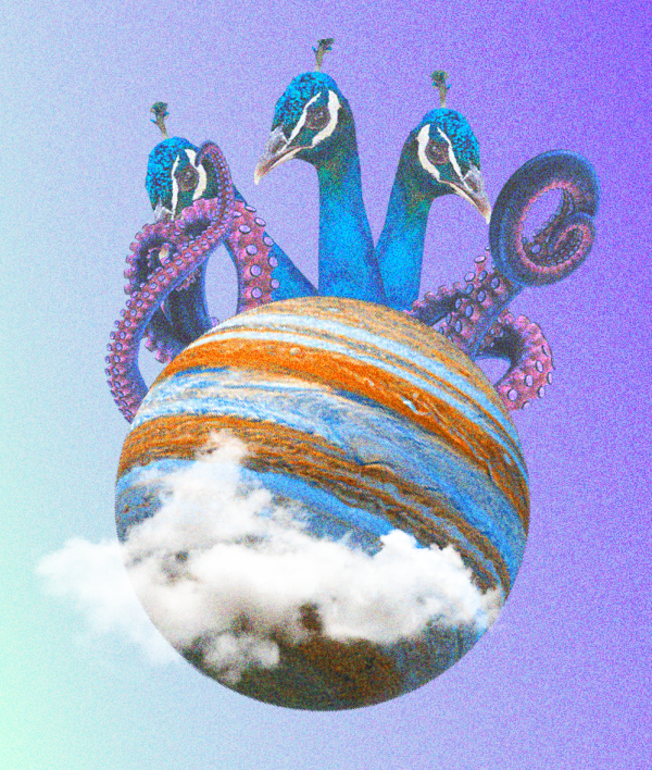 What is Management Liability Insurance