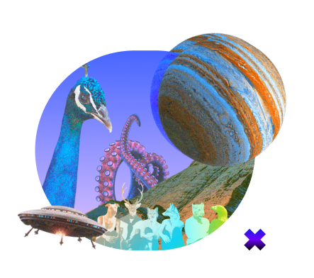 Whats involved in a disc workshop 1