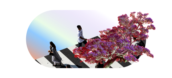 Step 4 Funding to grow