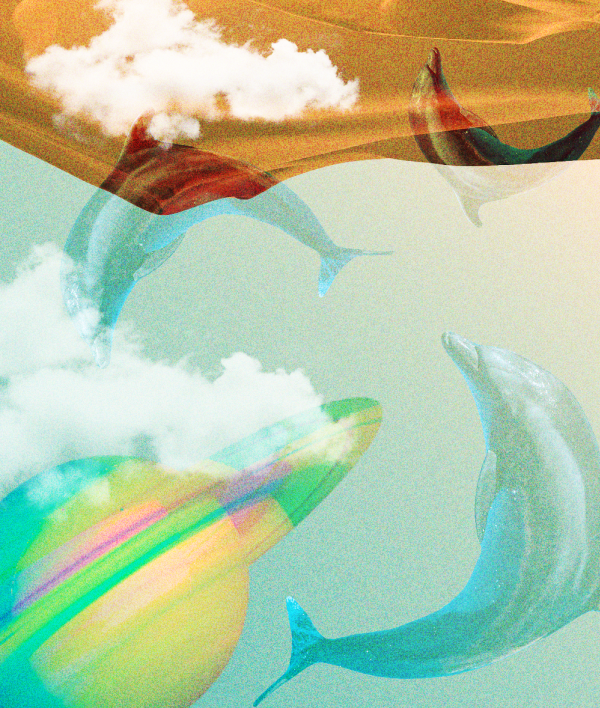 The Pros and Cons of Employee share schemes